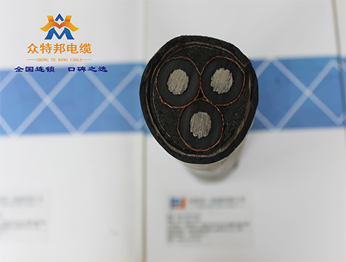 桂林高压电力电缆